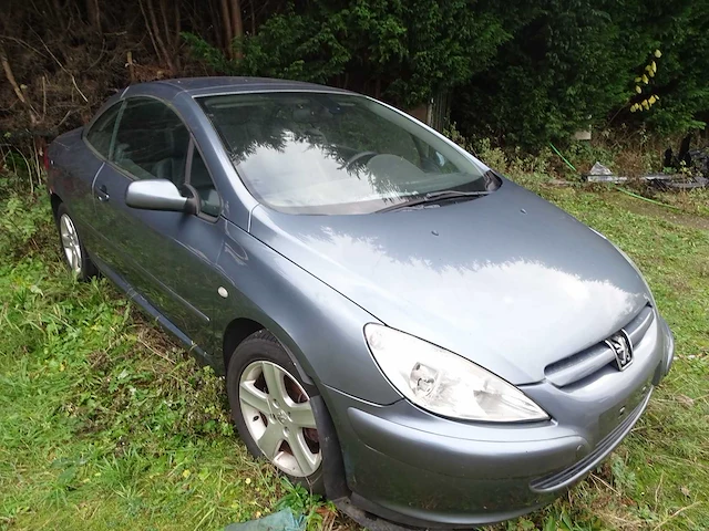 Peugeot - 307 - cc - personenauto - afbeelding 14 van  17