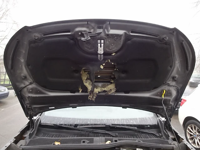 Peugeot 2008 - afbeelding 33 van  42