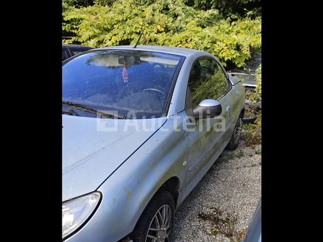 Peugeot 206 cabrio - afbeelding 6 van  10