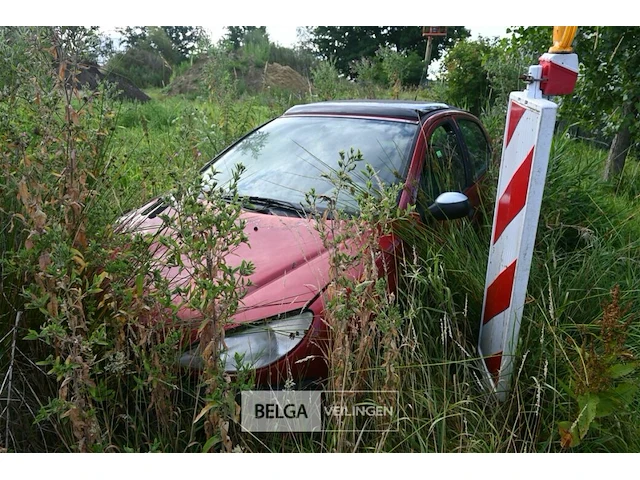 Peugeot 206 - afbeelding 1 van  4