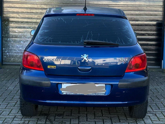 Peugeot 307, 2002 - afbeelding 10 van  15