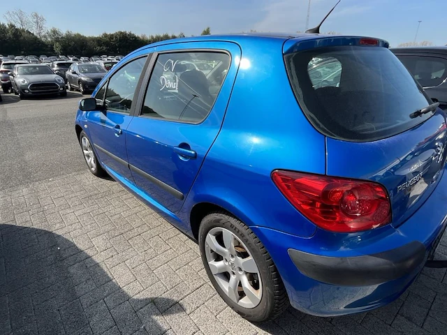 Peugeot 307, 2005 - afbeelding 25 van  27