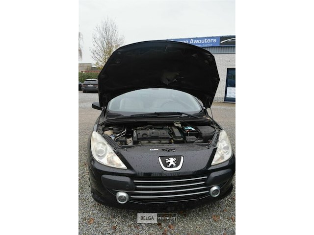 Peugeot 307 cabrio - afbeelding 3 van  23