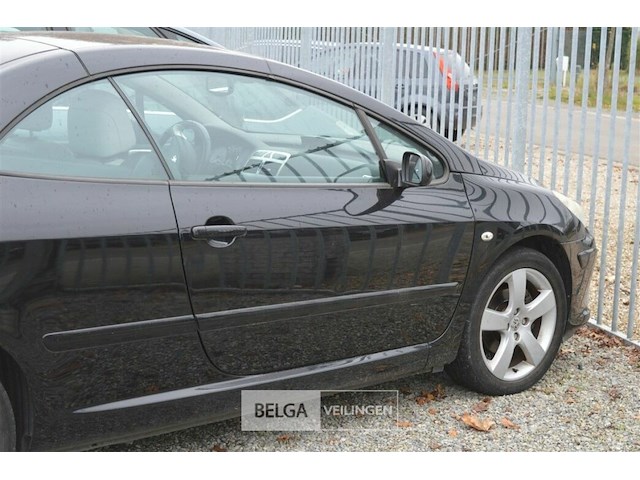 Peugeot 307 cabrio - afbeelding 12 van  23