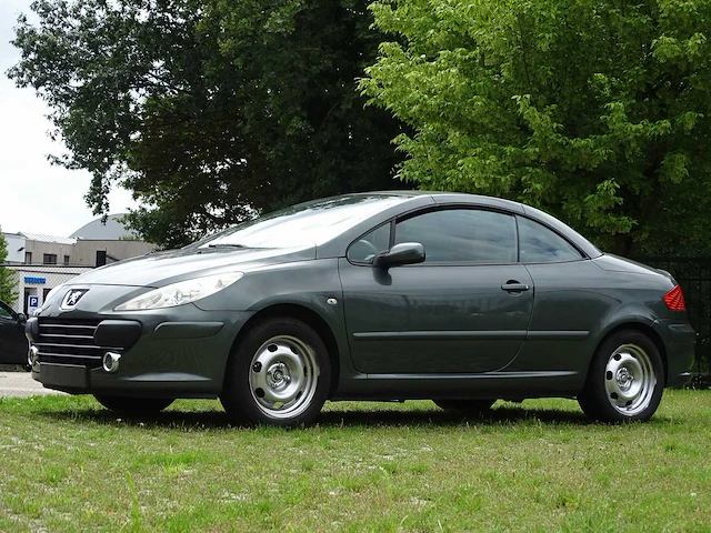 Peugeot 307 cc 1.6i (project-basis) - afbeelding 12 van  50