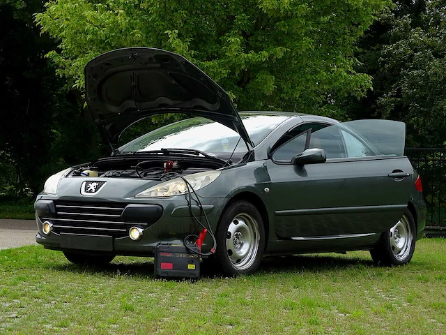 Peugeot 307 cc 1.6i (project-basis) - afbeelding 35 van  50