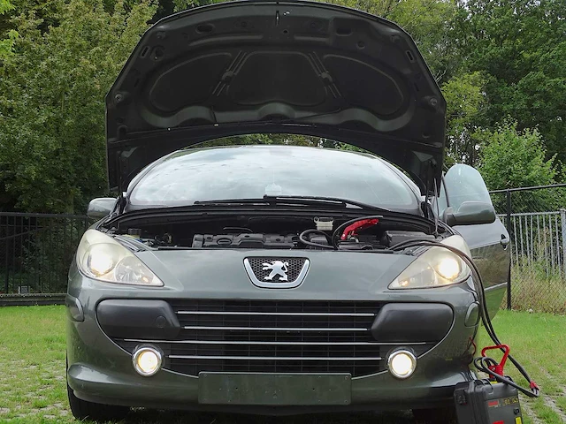Peugeot 307 cc 1.6i (project-basis) - afbeelding 36 van  50