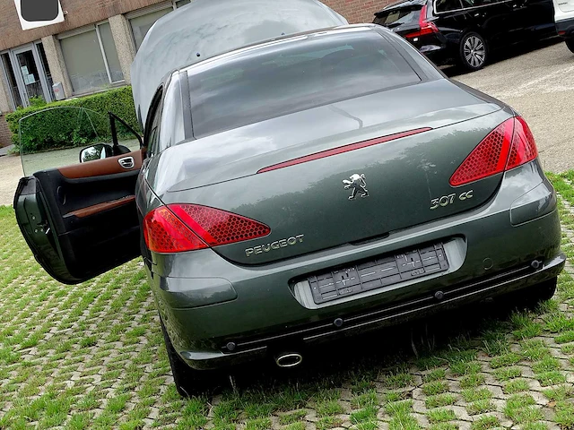 Peugeot 307 cc 1.6i (project-basis) - afbeelding 40 van  50