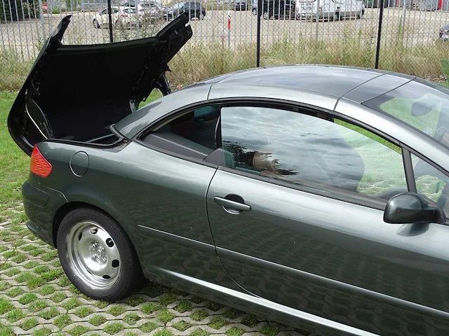 Peugeot 307 cc 1.6i (project-basis) - afbeelding 42 van  50