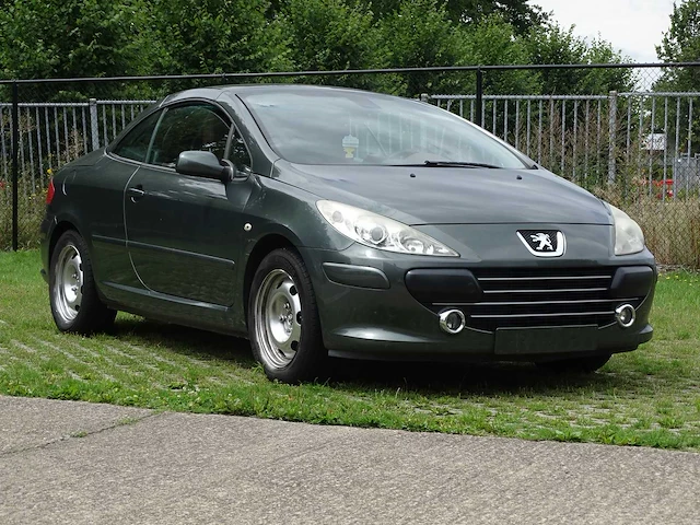 Peugeot 307 cc 1.6i (project-basis) - afbeelding 45 van  50