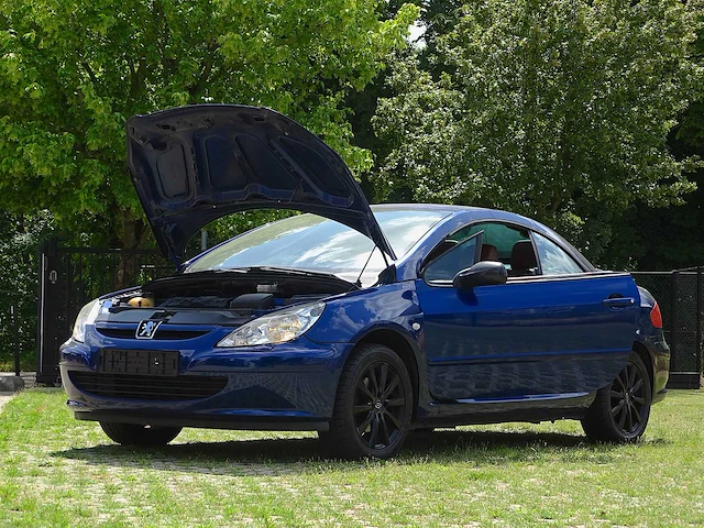 Peugeot 307 cc 1.6i xr - afbeelding 40 van  57