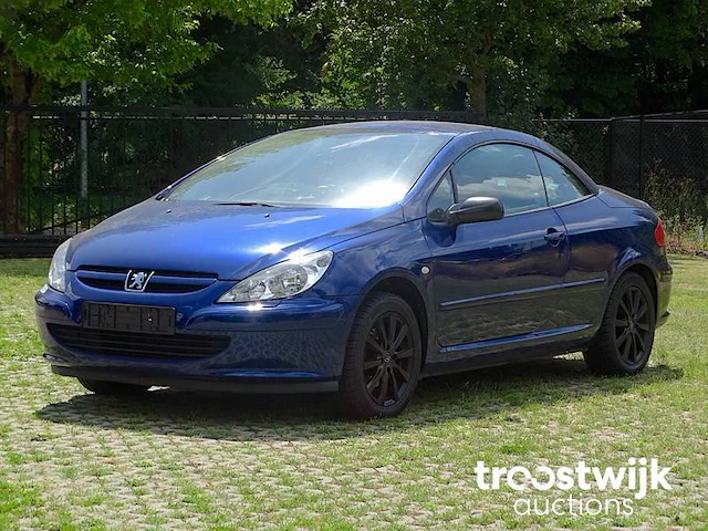 Peugeot 307 cc 1.6i xr - afbeelding 1 van  58