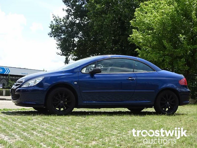 Peugeot 307 cc 1.6i xr - afbeelding 12 van  58