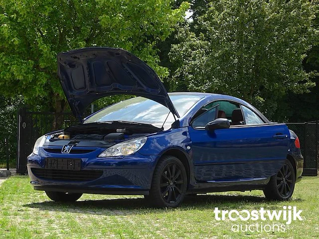 Peugeot 307 cc 1.6i xr - afbeelding 39 van  58