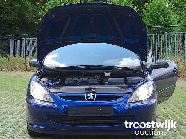 Peugeot 307 cc 1.6i xr - afbeelding 40 van  58