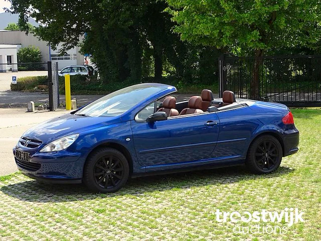 Peugeot 307 cc 1.6i xr - afbeelding 44 van  58