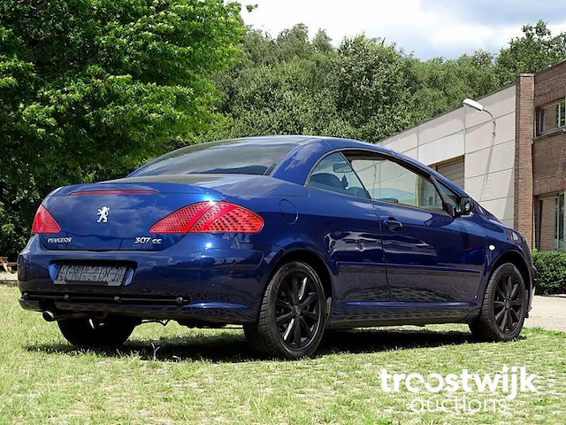 Peugeot 307 cc 1.6i xr - afbeelding 34 van  58