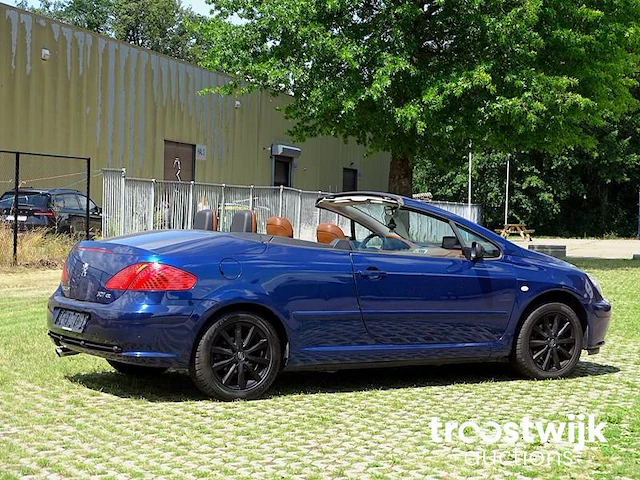 Peugeot 307 cc 1.6i xr - afbeelding 47 van  58