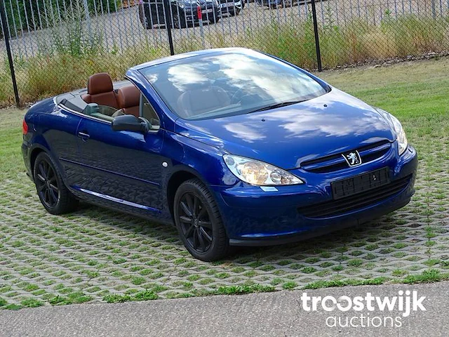 Peugeot 307 cc 1.6i xr - afbeelding 48 van  58