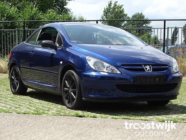 Peugeot 307 cc 1.6i xr - afbeelding 45 van  58