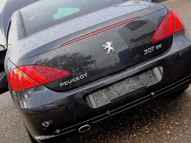 Peugeot 307 cc 2.0i 16v - afbeelding 33 van  40