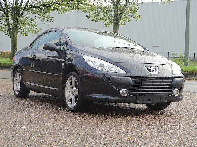 Peugeot 307 cc 2.0i 16v - afbeelding 36 van  40
