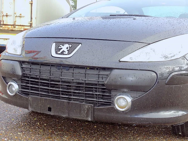 Peugeot 307 cc 2.0i 16v - afbeelding 38 van  40