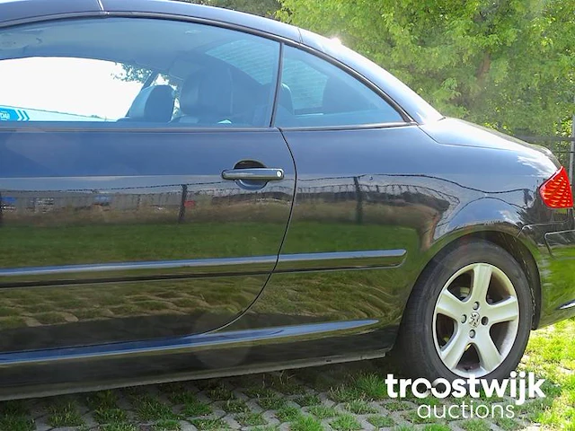 Peugeot 307 cc 2.0i 16v - afbeelding 3 van  49
