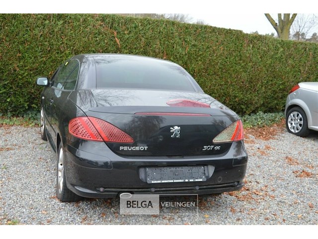 Peugeot 307 cc cabrio - afbeelding 4 van  28