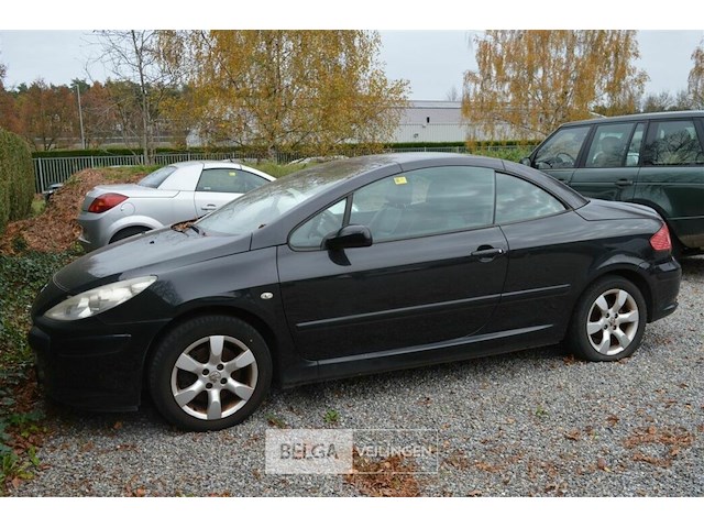 Peugeot 307 cc cabrio - afbeelding 1 van  28