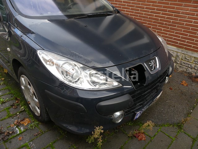Peugeot 307 sw auto - afbeelding 1 van  20