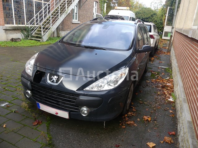 Peugeot 307 sw auto - afbeelding 12 van  20