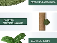 Pfotenolymp krabpaal - afbeelding 3 van  4