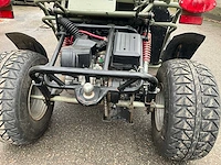 Pgo bugxter buggy - afbeelding 18 van  23