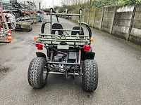 Pgo bugxter buggy - afbeelding 6 van  23