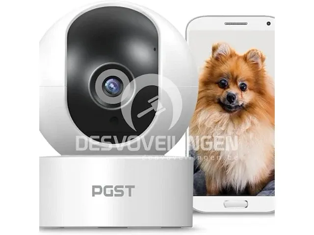 Pgst bewakingscamera - afbeelding 1 van  6
