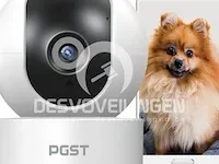 Pgst bewakingscamera