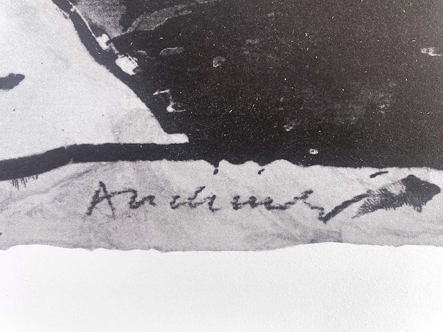 Pierre alechinsky - a propos de binche - offset - afbeelding 3 van  5