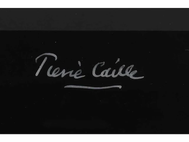 Pierre caille (1912 – 1996) - afbeelding 3 van  3