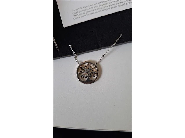 Pierre cardin ketting en armband - afbeelding 3 van  7