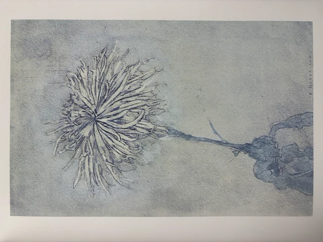 Piet mondriaan - gelimiteerde lithografie - afbeelding 1 van  1