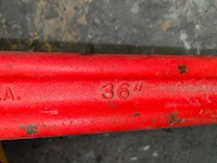Pijptang - afbeelding 2 van  3