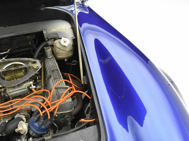 Pilgrim sumo 'ac cobra' - afbeelding 9 van  49