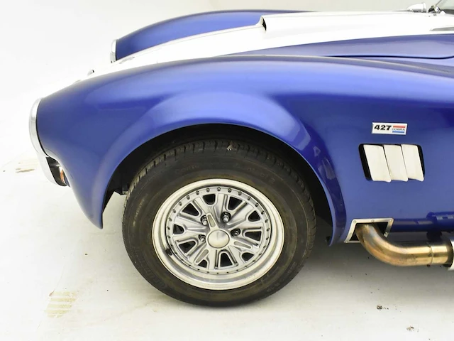 Pilgrim sumo 'ac cobra' - afbeelding 20 van  49