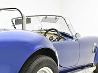 Pilgrim sumo 'ac cobra' - afbeelding 36 van  49