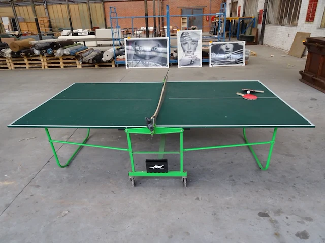 Ping-pong tafel sven - afbeelding 2 van  7