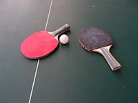 Ping-pong tafel sven - afbeelding 6 van  7