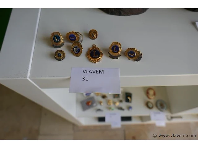 Pins lions - afbeelding 1 van  1