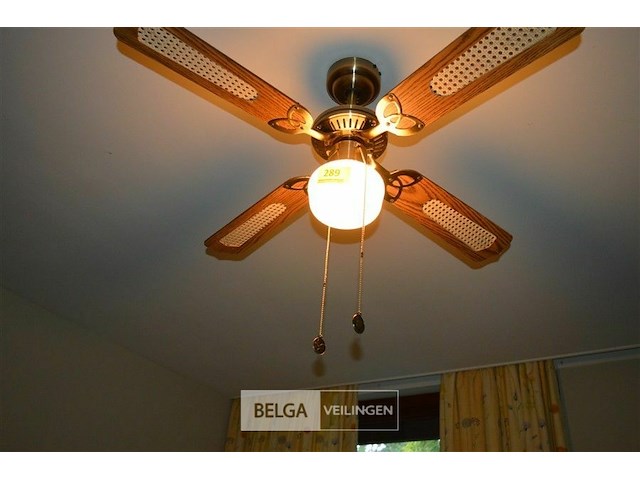 Plafondventilator met lamp - afbeelding 2 van  2