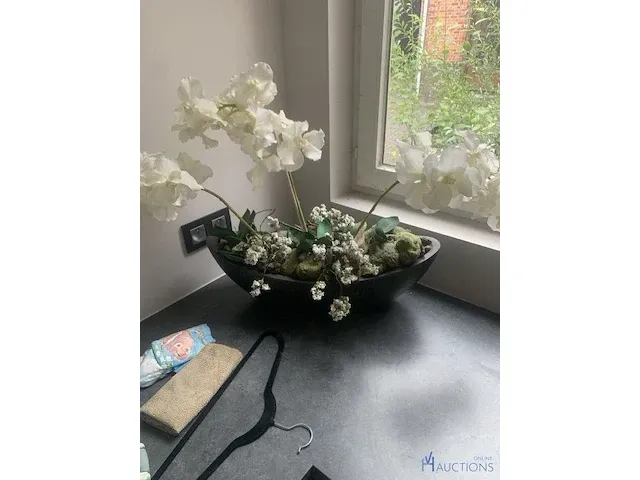 Plant in pot - afbeelding 1 van  2